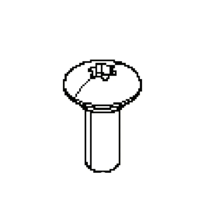 Expressleverans Screw