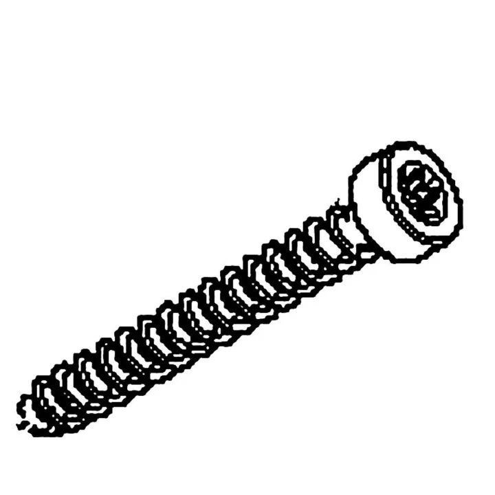 Trygg betalning Screw