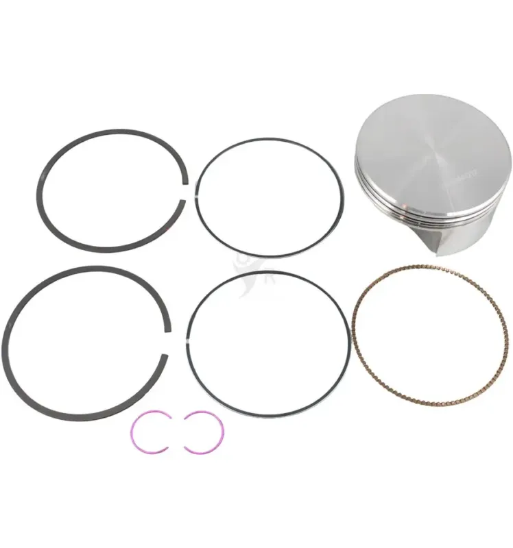 Sista chansen Briggs & Stratton Kolv 84011097
