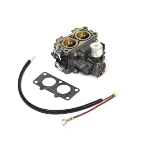 Expressleverans Briggs & Stratton Förgasare 845199