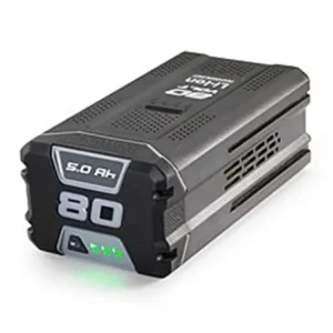 Batteri Combi 48SAE, Multiclip 47 SAE, 80V, 5.0AH, 1111-9310-01 Begränsad tid