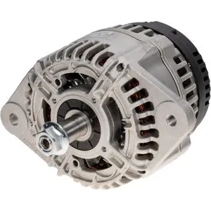 Växelströmsgenerator Mahle 175A 12V Case Nh Populär