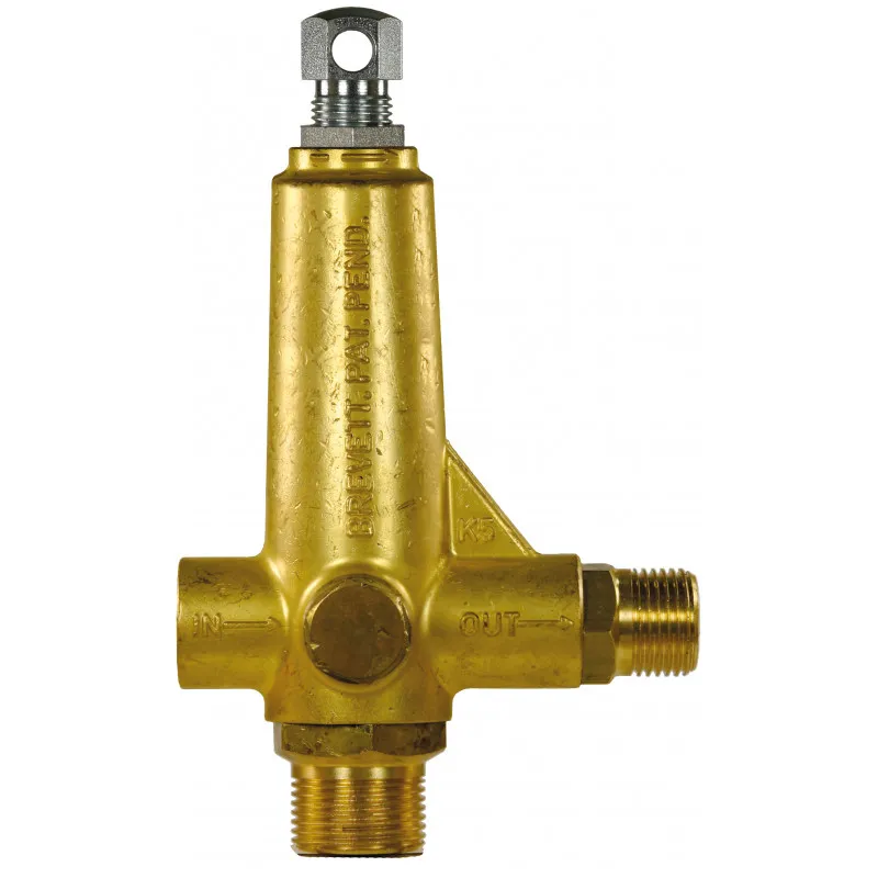 Omloppsventil K5.3 25-41 liter Interpump Reapris