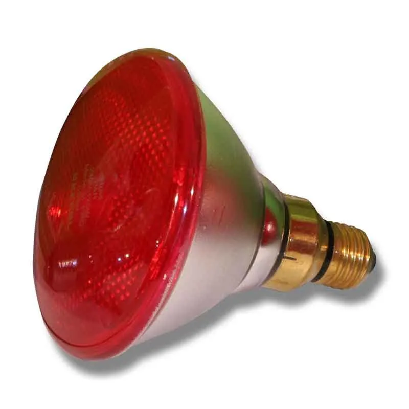 Glödlampa Ekonomi PAR 175W Köp online